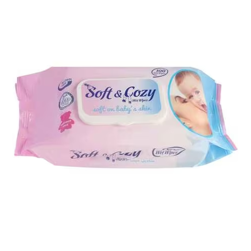 SOFT & COZY 100 BABY WIPES